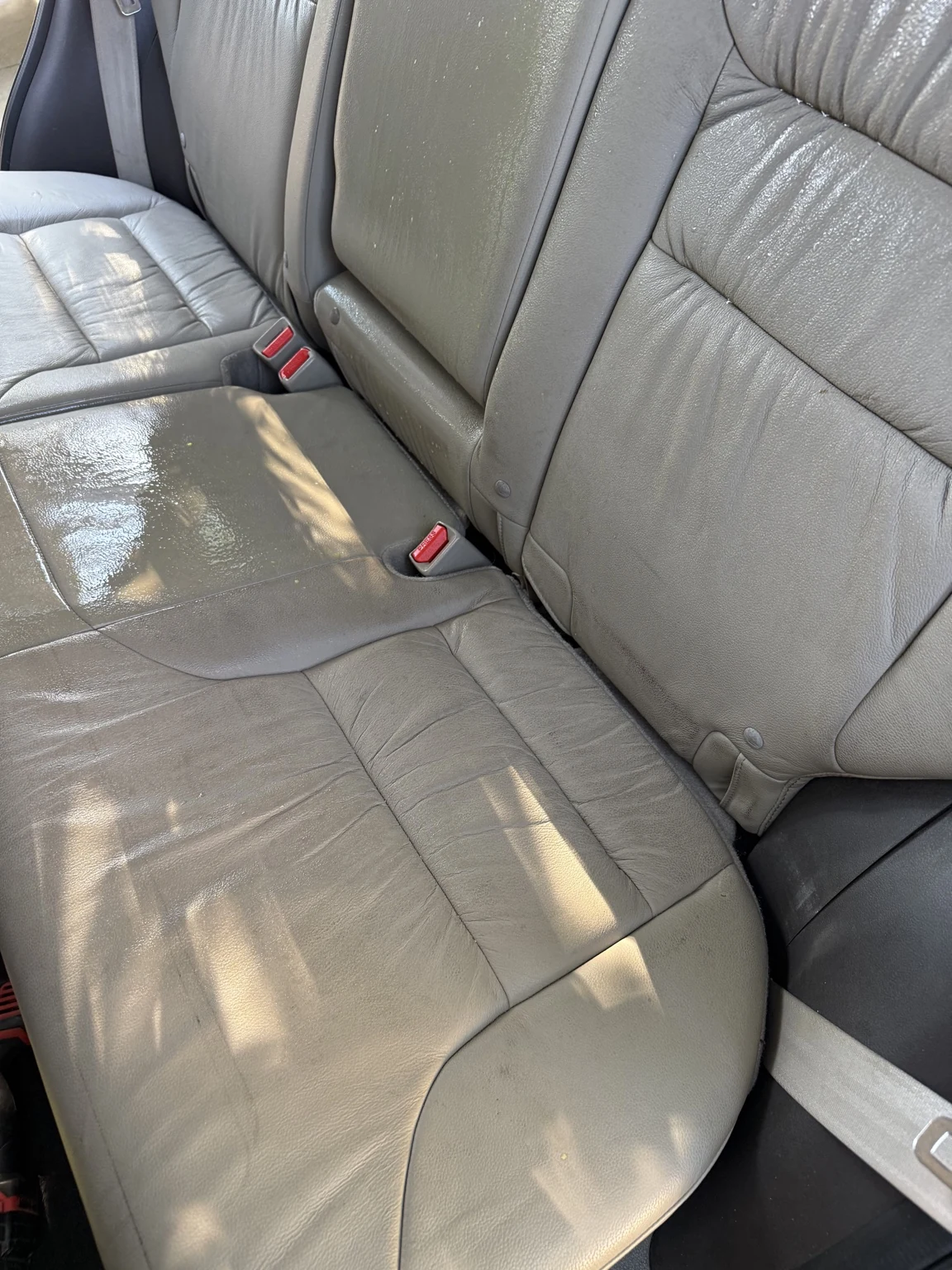 Honda CR-V detailing photo 1
