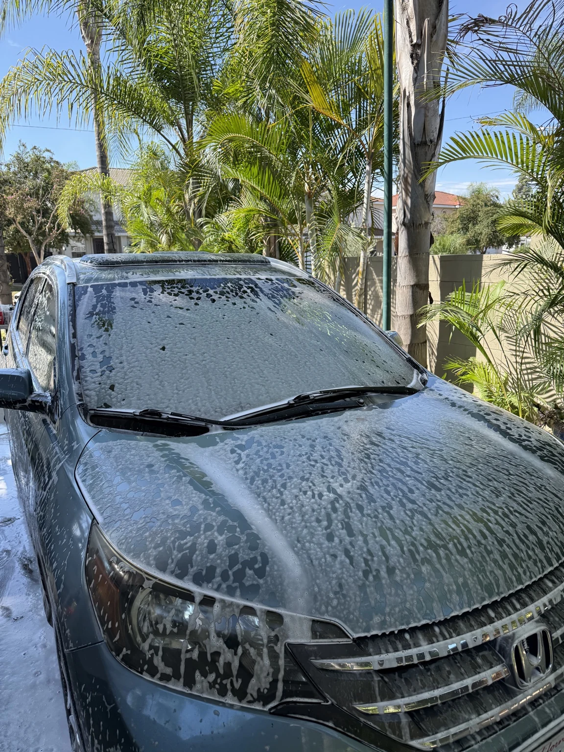 Honda CR-V detailing photo 4