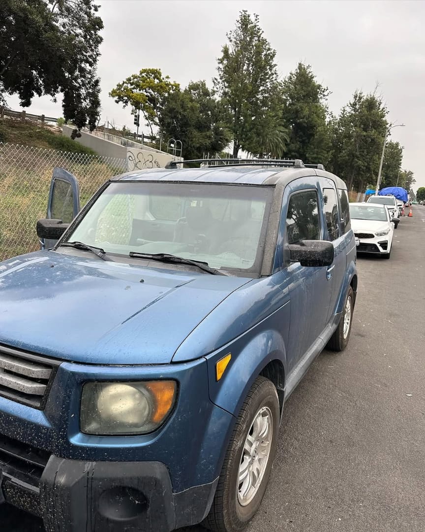 Honda Element exterior before detailing
