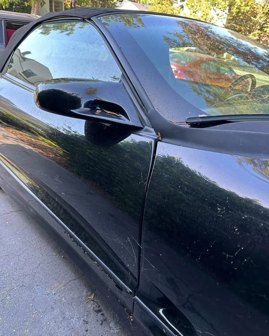 Pontiac — detailing photo 1