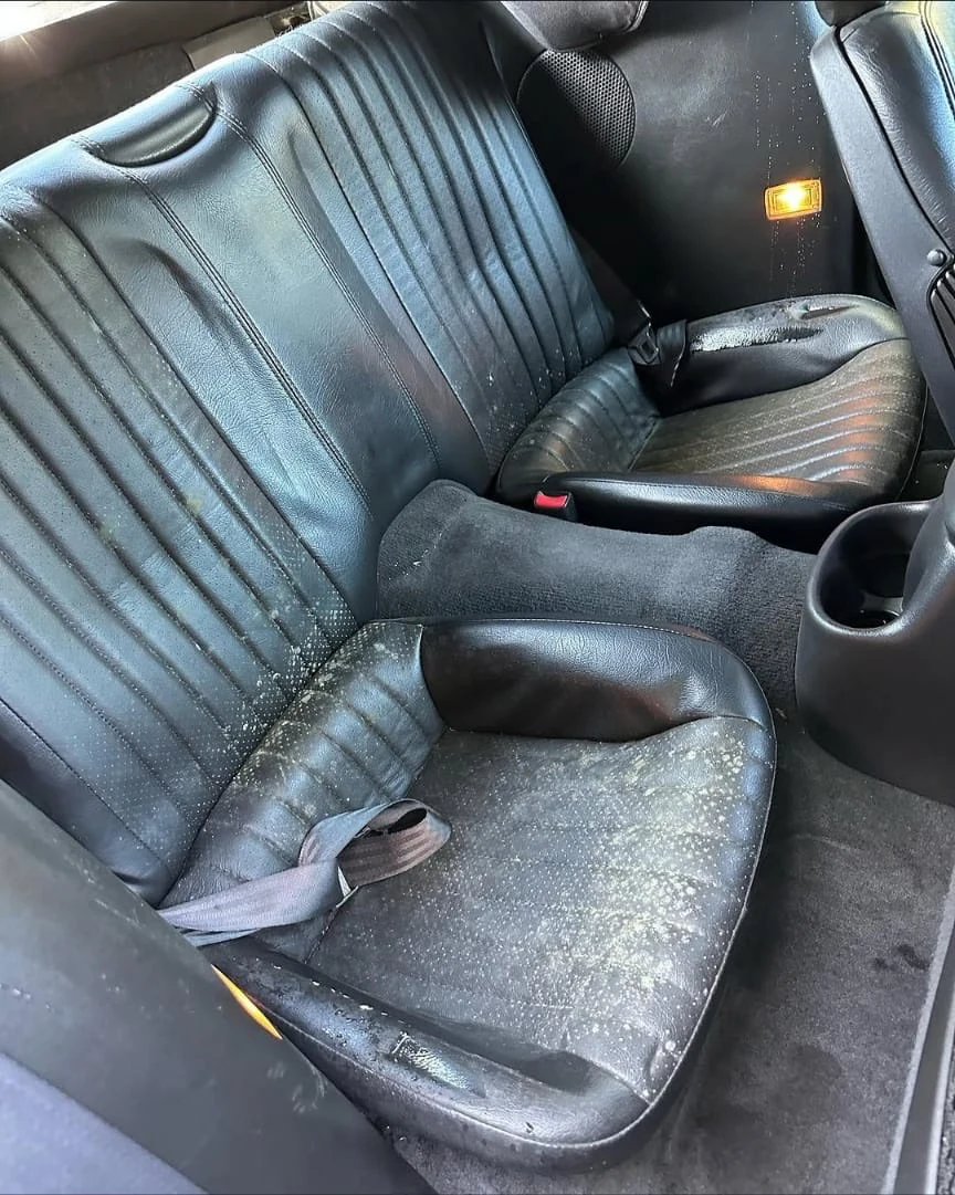 Pontiac — detailing photo 6