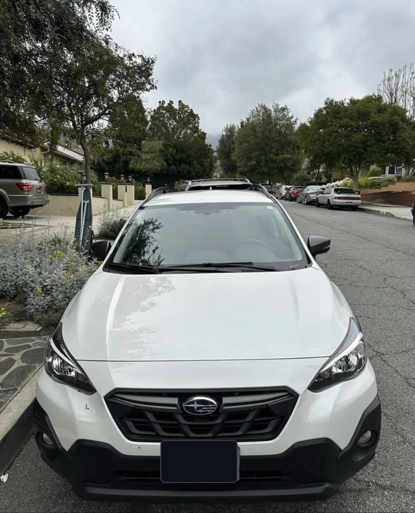 Subaru Crosstrek detailing photo 1