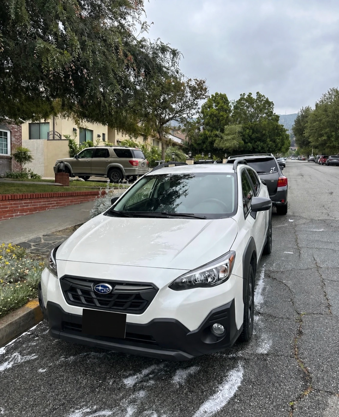 Subaru Crosstrek detailing photo 9