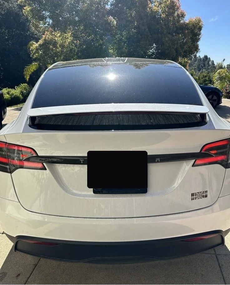 Tesla detailing photo 1