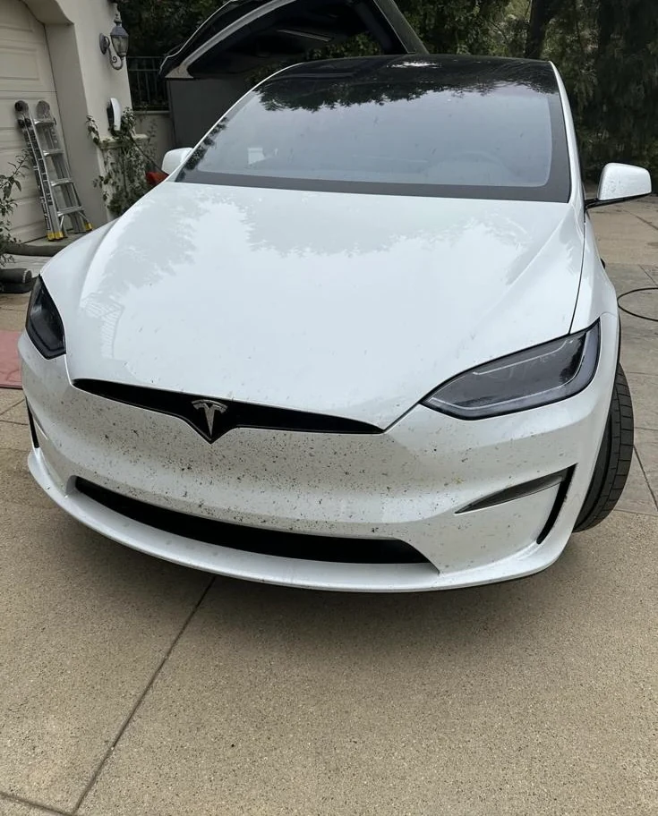 Tesla detailing photo 6