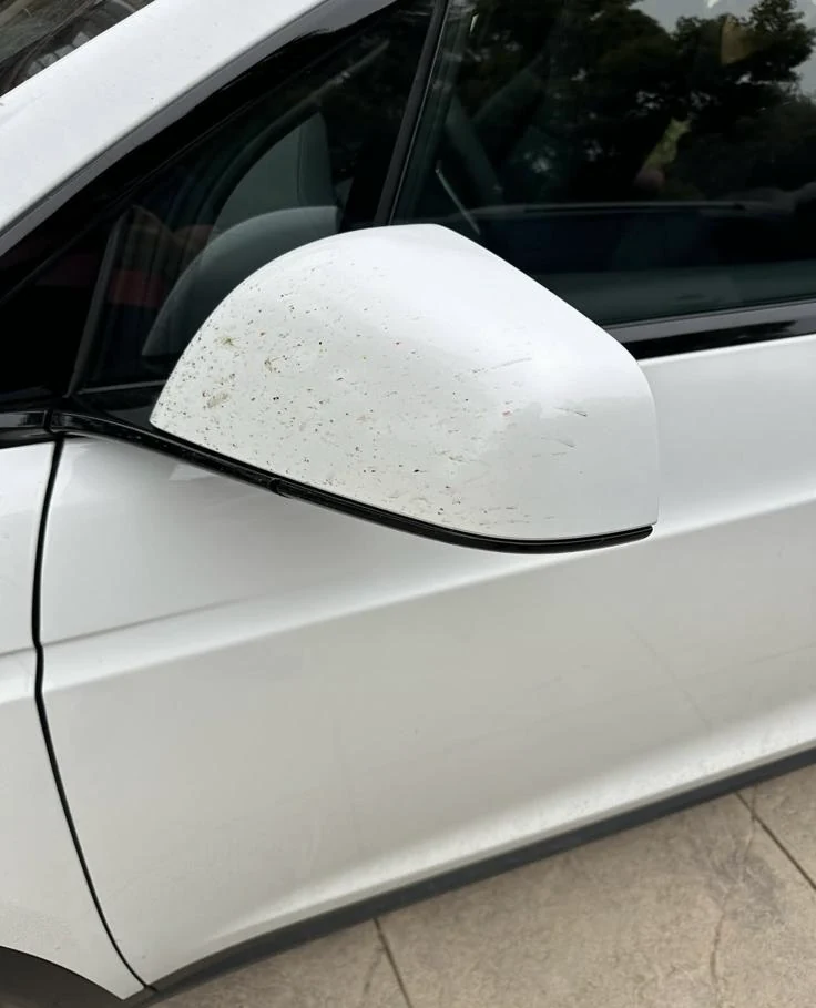 Tesla detailing photo 7