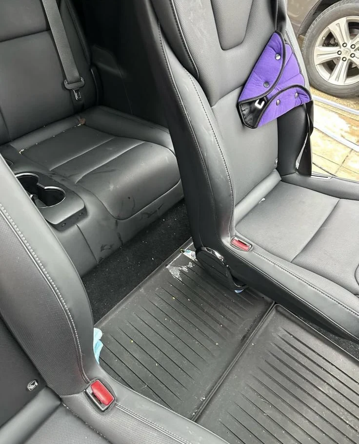 Tesla detailing photo 9